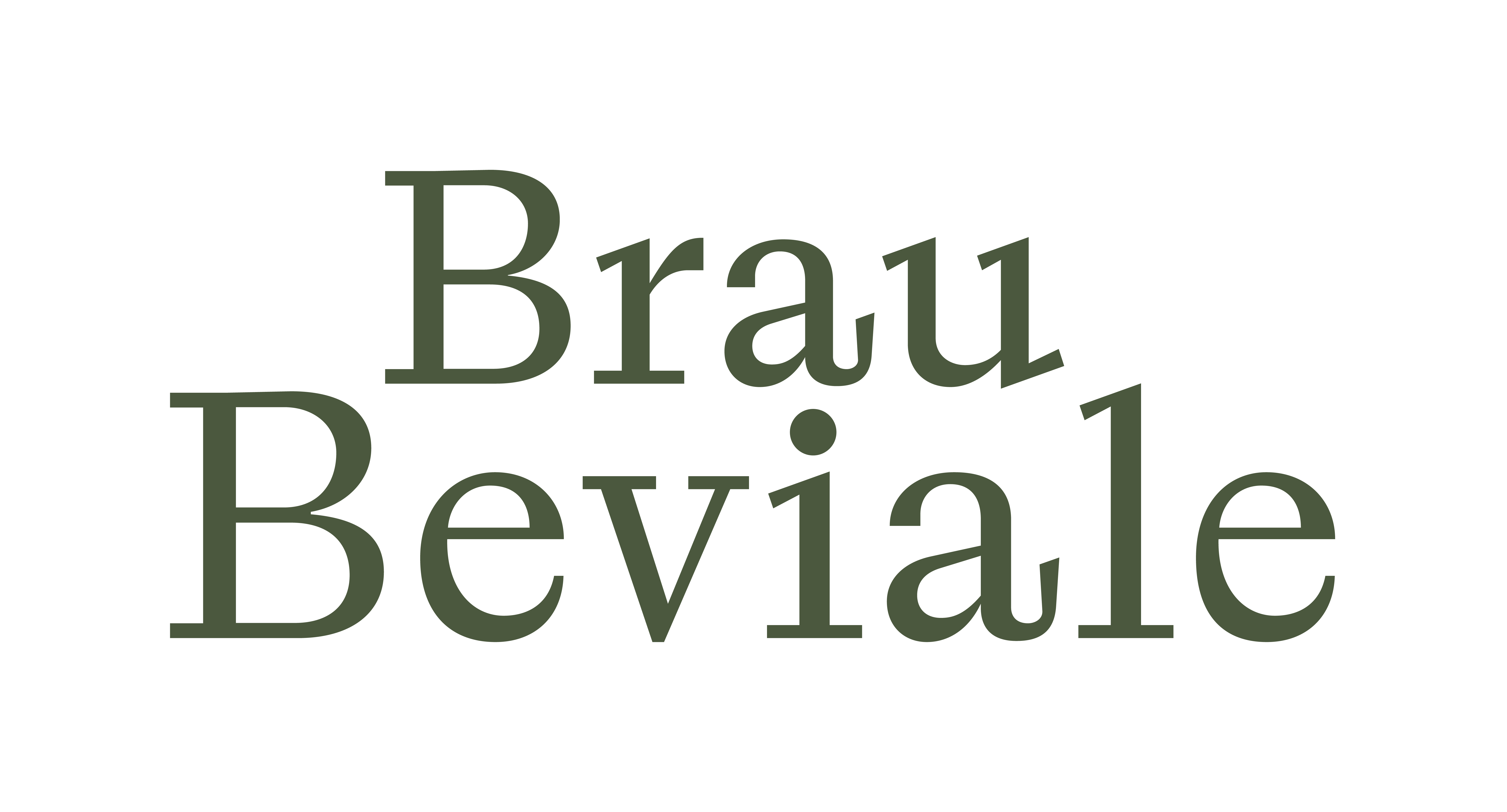bb_logo_rgb_graugruen-(1).png